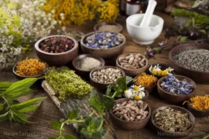 herbalist Melbourne